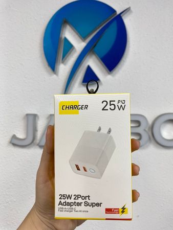 25w 2port